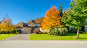A home's front yard in the fall, featuring a large tree turning orange.
