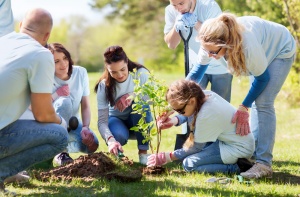 A group of people planting a tree